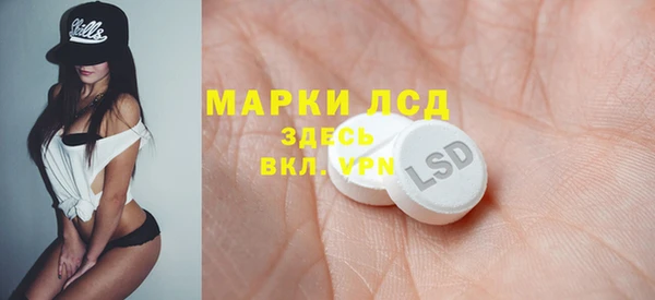 spice Вяземский