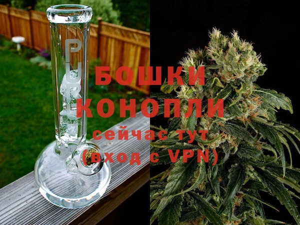 spice Вяземский