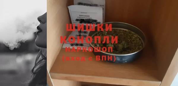 spice Вяземский