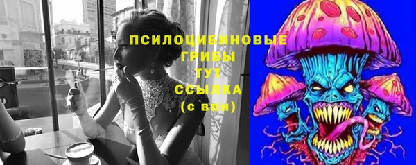 соль ск Вязьма
